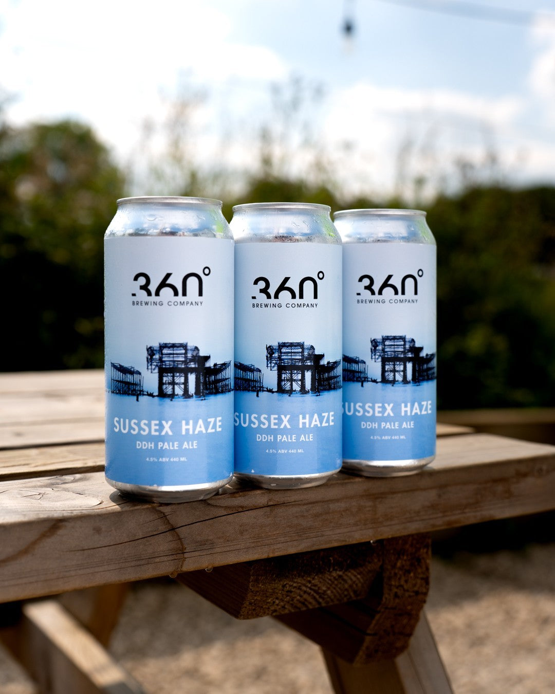 360 Degree Brewing Company