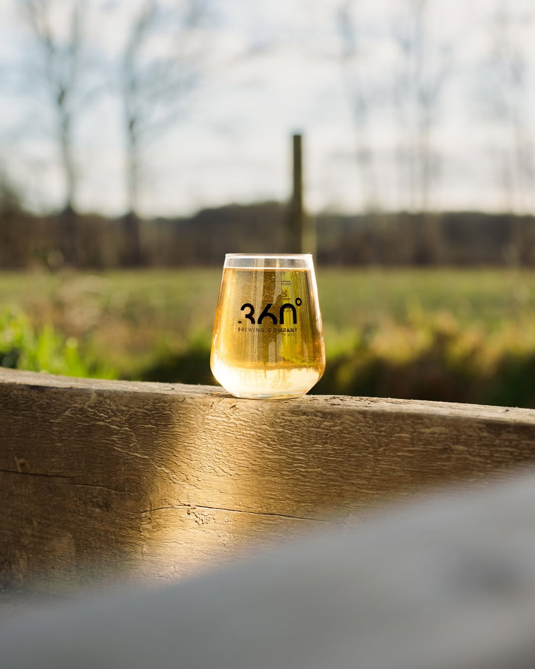 Tree Fall - Craft Cider